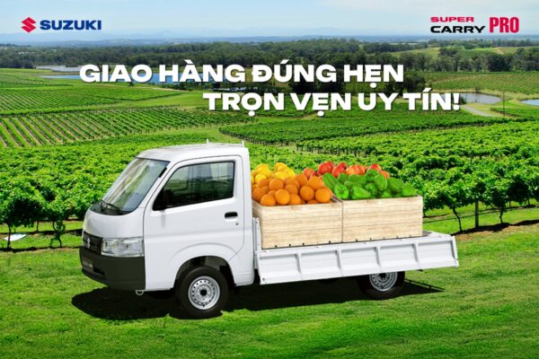 suzuki-carry-pro-xe-tai-nho-da-nang
